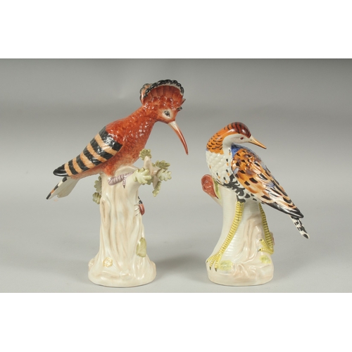 1059 - TWO PORCELAIN EXOTIC BIRDS on a tree stump. 8ins & 7.5ins high.