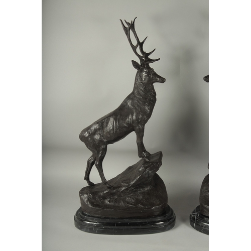 1108 - AFTER JULES MOIGNIEZ. A GOOD PAIR OF BRONZE STAGS standing on a rocky base. Signed, with marble plin... 