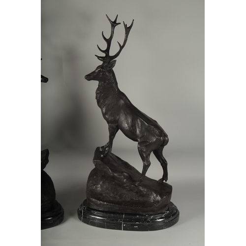 1108 - AFTER JULES MOIGNIEZ. A GOOD PAIR OF BRONZE STAGS standing on a rocky base. Signed, with marble plin... 