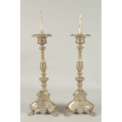 1156 - A GOOD PAIR OF PRICKET ALTAR CANDLESTICKS on triangular bases, with claw feet. 19.5ins high.