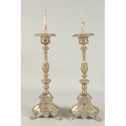 1156 - A GOOD PAIR OF PRICKET ALTAR CANDLESTICKS on triangular bases, with claw feet. 19.5ins high.