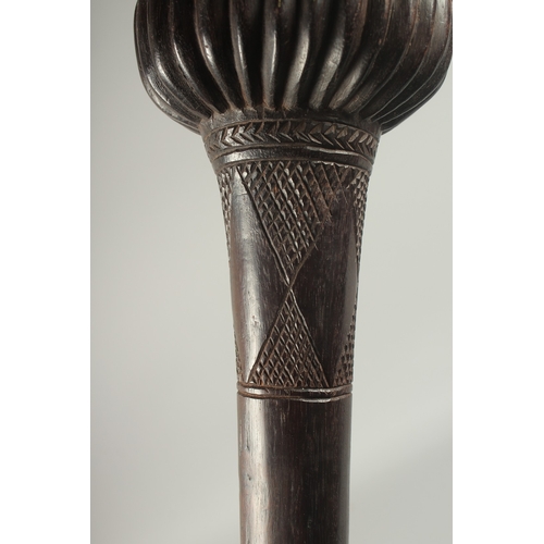 1168 - A GOOD HEAVY FIJIAN THROWING CLUB with carved decoration. 18.5ins long, 16ins long, 4.5ins diameter.... 