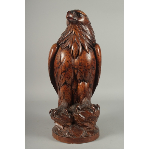 1170A - A SUPERB SWISS CARVED BLACK FOREST EAGLE with glass eyes, possibly walnut, with poker work feathers,... 