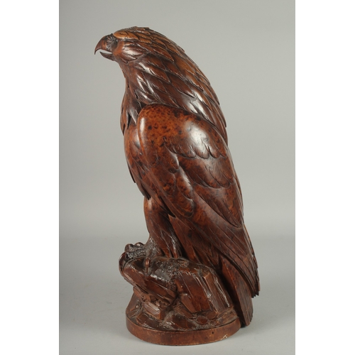 1170A - A SUPERB SWISS CARVED BLACK FOREST EAGLE with glass eyes, possibly walnut, with poker work feathers,... 