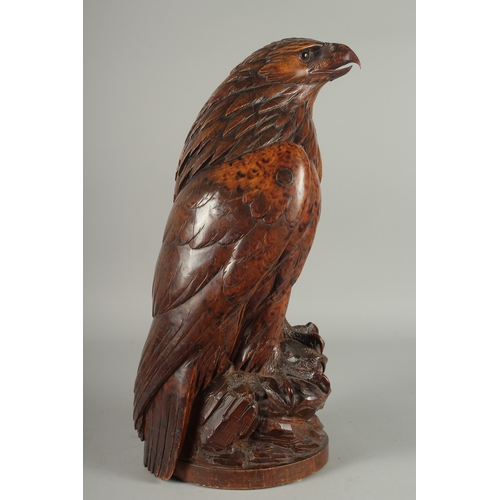 1170A - A SUPERB SWISS CARVED BLACK FOREST EAGLE with glass eyes, possibly walnut, with poker work feathers,... 