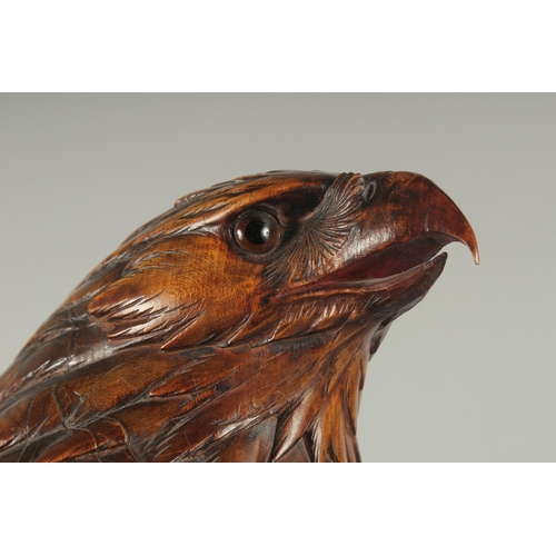 1170A - A SUPERB SWISS CARVED BLACK FOREST EAGLE with glass eyes, possibly walnut, with poker work feathers,... 