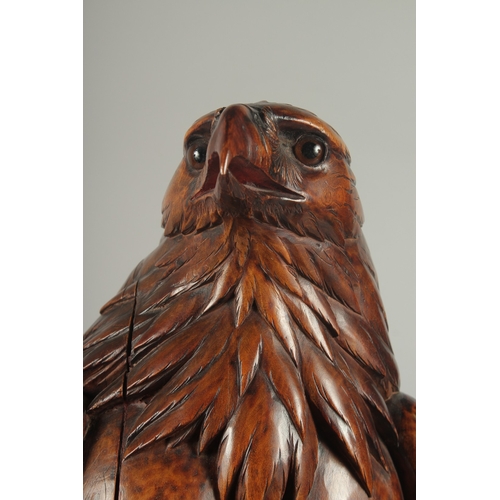 1170A - A SUPERB SWISS CARVED BLACK FOREST EAGLE with glass eyes, possibly walnut, with poker work feathers,... 