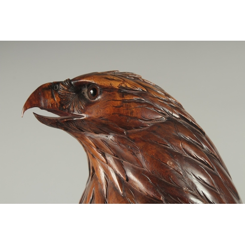 1170A - A SUPERB SWISS CARVED BLACK FOREST EAGLE with glass eyes, possibly walnut, with poker work feathers,... 