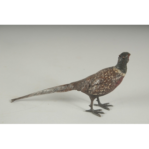 1228 - AN AUSTRIAN COLD PAINTED BRONZE PHEASANT 6.5ins long.