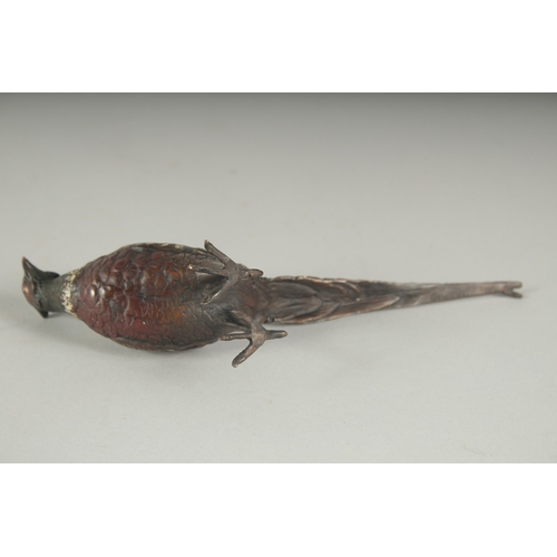 1228 - AN AUSTRIAN COLD PAINTED BRONZE PHEASANT 6.5ins long.