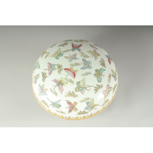 1236 - A LARGE CIRCULAR BOWL AND COVER decorated with butterflies.  10ins diameter.