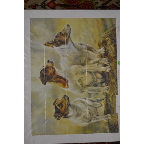 400 - A group of six unframed prints depicting various terriers.