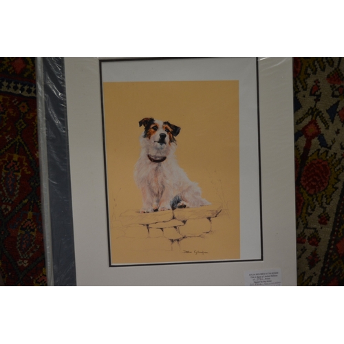 400 - A group of six unframed prints depicting various terriers.