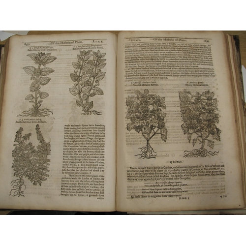 188 - [BOTANY etc.] [Gerard's Herbal, 1633], lge folio, lacking title & other ff., title given in ms. givi... 