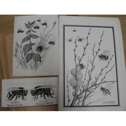 93 - NEAVE PARKER, artist & illustrator: coll'n of 10 b/w. scraperboard illustrations for 