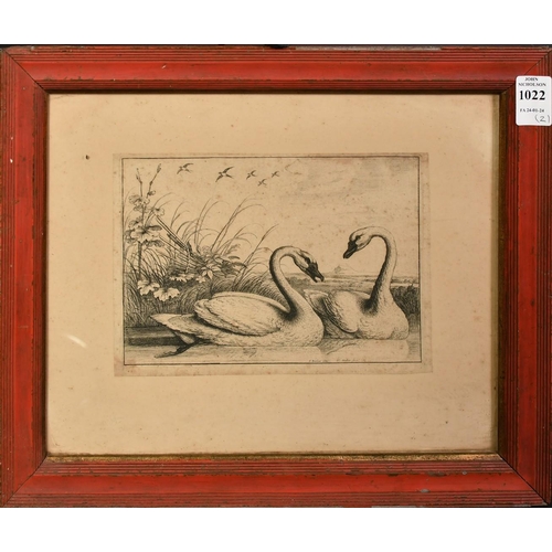 1022 - Hollar after Barlow, 'Two Swans Swimming', etching, 5.5