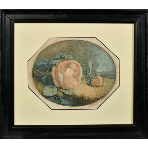 1033 - Jacques Phillippe Levilly, Circa 1800, scene of a cherub in a basket of roses, along with three othe... 