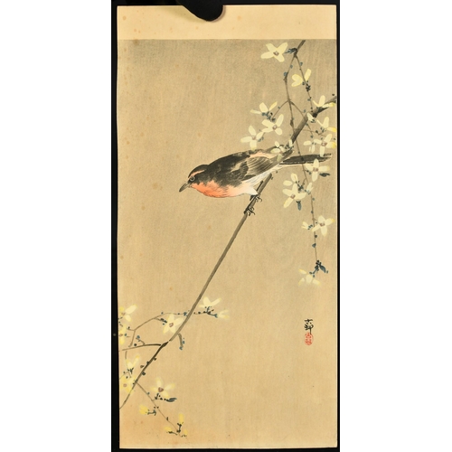 1034 - Koson Ohara (1877-1945) Japanese, two woodcuts in colour, a red breasted but on a branch with blosso... 