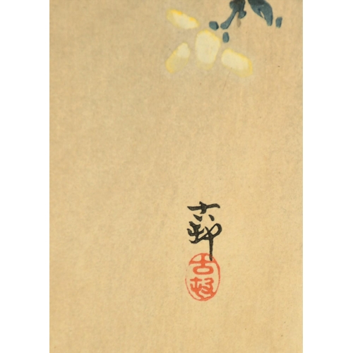 1034 - Koson Ohara (1877-1945) Japanese, two woodcuts in colour, a red breasted but on a branch with blosso... 