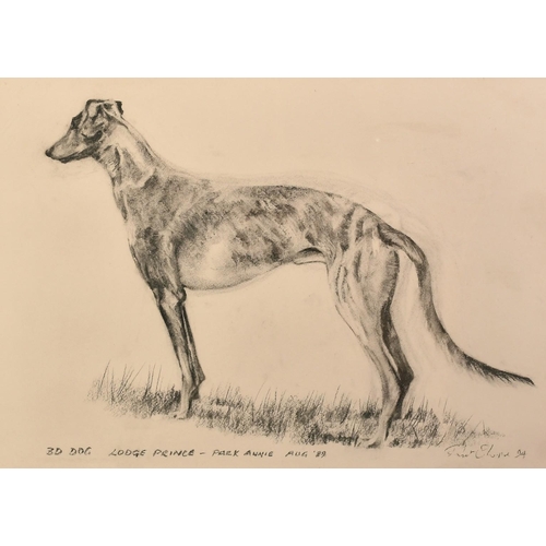 1058 - Circle of Bryan Organ, a study of a racing greyhound, charcoal, indistinctly signed and inscribed, 1... 