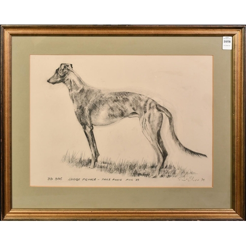 1058 - Circle of Bryan Organ, a study of a racing greyhound, charcoal, indistinctly signed and inscribed, 1... 