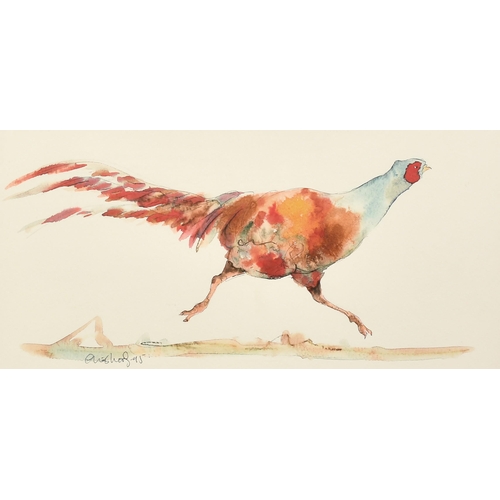 1078 - Claire Norrington (b. 1969), a running pheasant, watercolour, signed Claire Shirley, 7