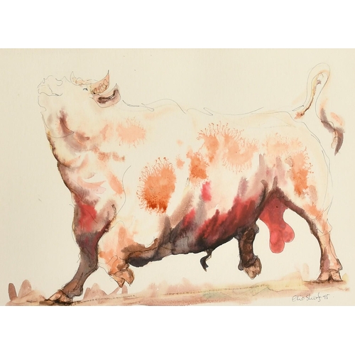 1079 - Claire Norrington (b. 1969), a study of a bull, watercolour, signed Claire Shirley, 10.5