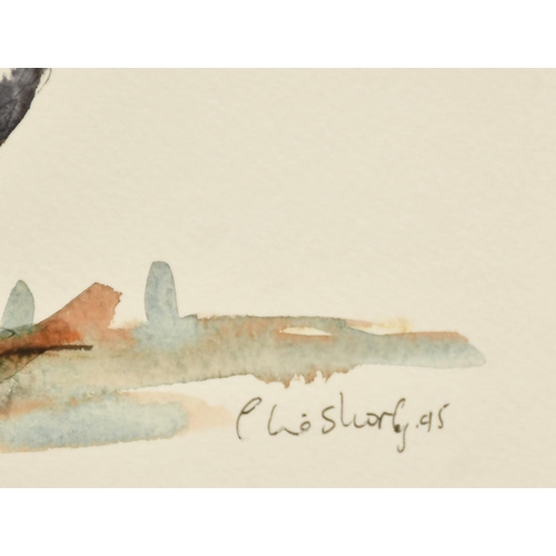 1080 - Claire Norrington (b. 1969), a study of a cow in a field, watercolour, signed Claire Shirley, 7