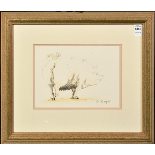 1081 - Claire Norrington (b. 1969), a happy pig, watercolour, signed Claire Shirley, 7