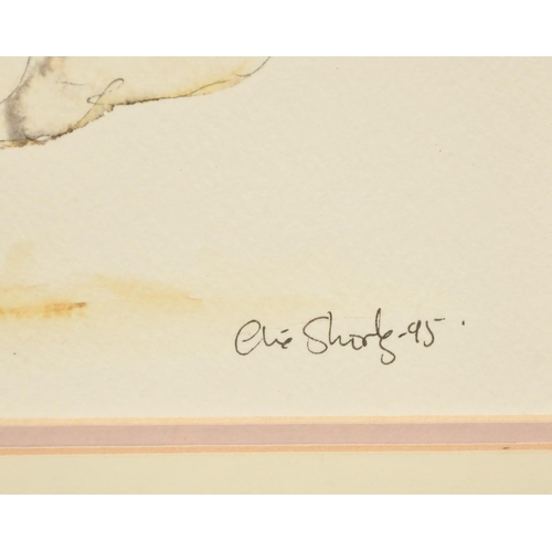 1081 - Claire Norrington (b. 1969), a happy pig, watercolour, signed Claire Shirley, 7