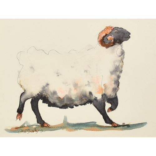 1083 - Claire Norrington (b. 1969), a poised ram, watercolour, signed Claire Shirley, 7