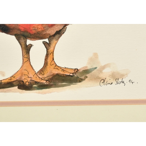 1084 - Claire Norrington (b. 1969), a study of a cockerel, watercolour, signed Claire Shirley, 14