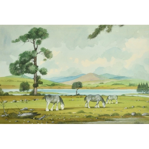 1111 - Bryan Conway (20th Century), 'Clydesdale Horses, Argyll', watercolour, signed, 14