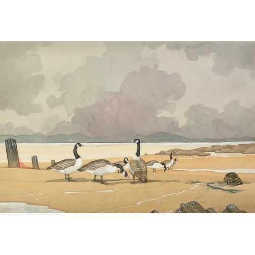 1112 - Bryan Conway (20th Century), 'Canada Geese, Anglesey', watercolour, signed, 14