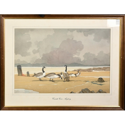 1112 - Bryan Conway (20th Century), 'Canada Geese, Anglesey', watercolour, signed, 14