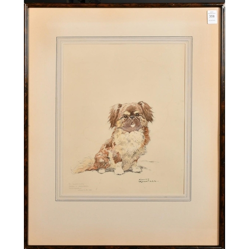 1146 - Harry Rountree (1878-1950), a study of a small dog, watercolour and pencil, signed and inscribed 'To... 