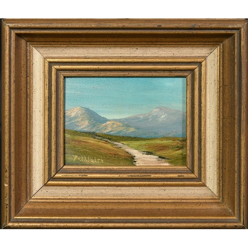 1178 - Patrick Walsh (20th Century) Ireland, 'Near Molls Gap, Ring of Kerry', oil on canvas board, signed, ... 