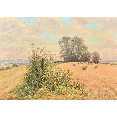 1192 - Mervyn Goode (20/21st Century), 'Haybales and Poppies on the Hilltop', oil on canvas, signed, 10