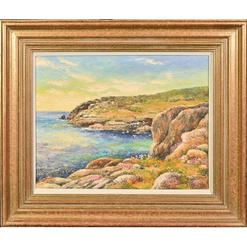 1193 - Mervyn Goode (20/21st Century), 'Rocks above the Emerald Cove', oil on canvas, signed, 14