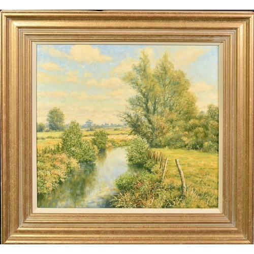 1194 - Mervyn Goode (20/21st Century), 'Old Fenceposts Along the Summer Backwater, oil on canvas, signed, 1... 