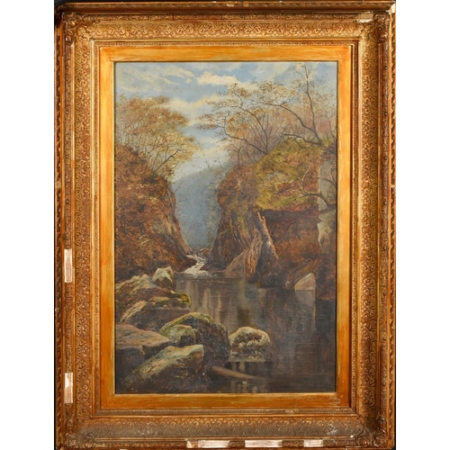 1207 - Johan Acton-Butt (19th Century), 'Fairy Glen, Near Bettws -Y-Coed', oil on canvas, signed, also insc... 