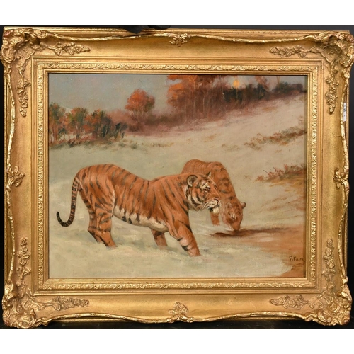 1298 - George Paice (1854-1925), two tigers feeding at dusk in a snowy landscape, oil on canvas, signed, 14... 