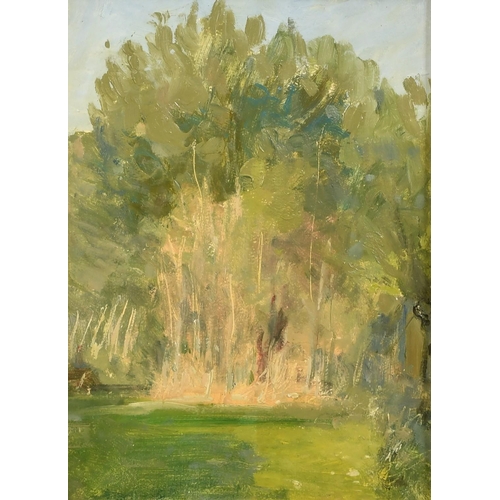 1353 - 20th Century Impressionist School, a study of a wooded area, oil on board, 12