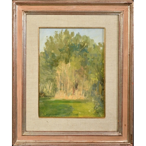 1353 - 20th Century Impressionist School, a study of a wooded area, oil on board, 12