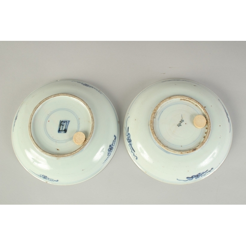 103 - A PAIR OF CHINESE BLUE AND WHITE PORCELAIN DISHES, each with character mark to base, 20cm diameter.
