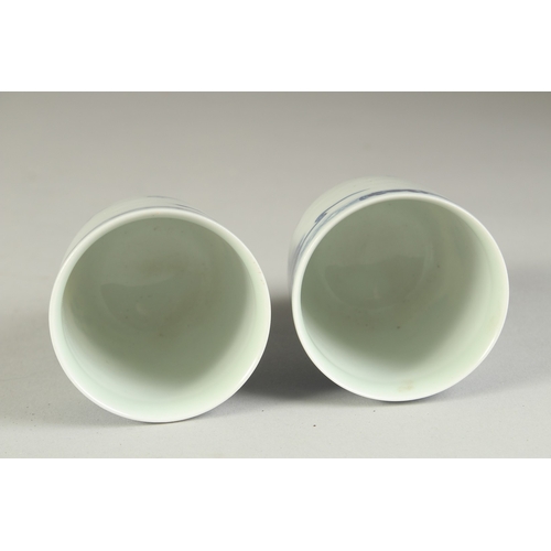 116 - A PAIR OF CHINESE BLUE AND WHITE PORCELAIN CUPS, painted with a fishing scene, the bases with four-c... 