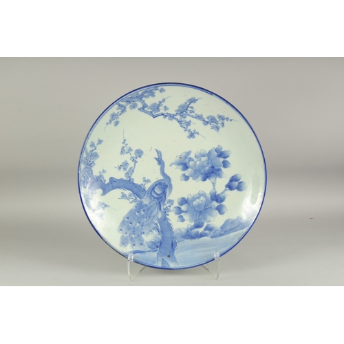 Lot 26        