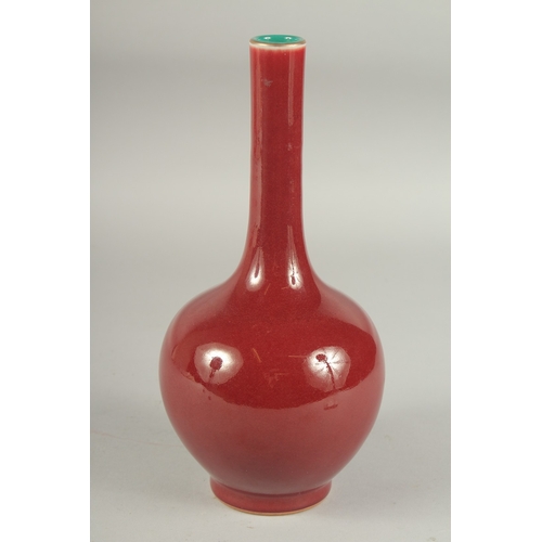 Lot 31        