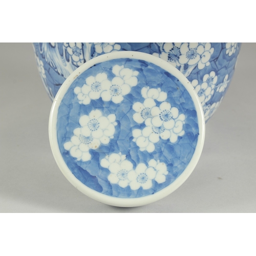 61 - A LARGE CHINESE BLUE AND WHITE PORCELAIN PRUNUS JAR AND COVER, 28.5cm high.