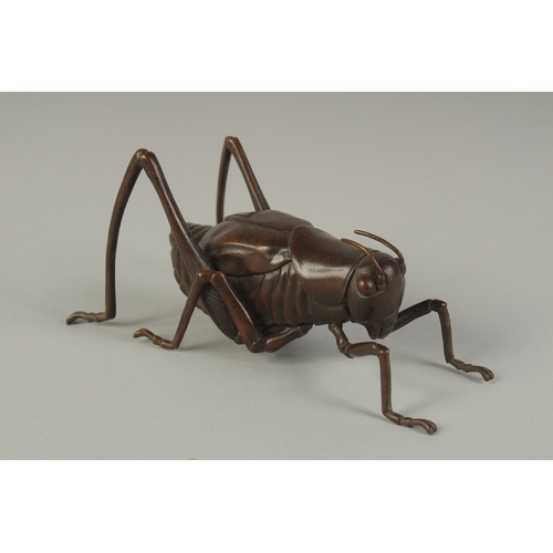 63 - A JAPANESE BRONZE OKIMONO OF A TRUE KATYDID, with articulated legs, signed, 16cm long.
